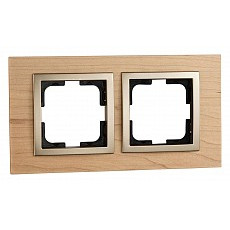 Рамка на 2 поста mono electric styl...